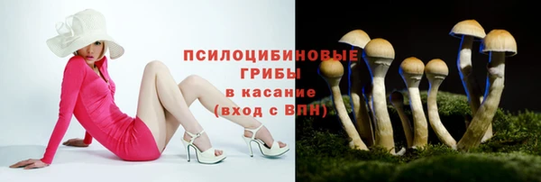 амф Абдулино